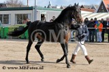 Cornway Fortuna7.jpg