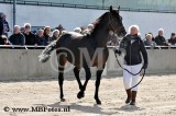 Cornway Fortuna9.jpg