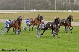 Koers 7. Velten Versailles1.jpg