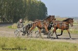 _MBF7074.jpg