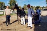 Koers 1. Esperanzo Dipo4.jpg