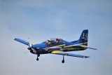Steves Tucano, 0T8A9967.JPG