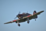 Steves Seagull Models Hurricane, 0T8A5790.JPG