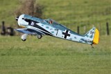 Allen Ls FW-190, 0T8A6447.JPG