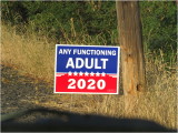 PLEASE!!!!! Any FUNCTIONING Adult for 2020.
