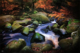 Natural Beauty