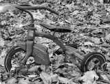 Lost Trike