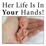 Baby in Hand sign 24 x 24.jpg Her Life Is In Your Hands!