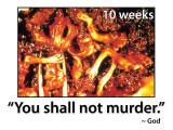 Shall_Not_Murder_Sign_24_x_18_Smith_Patte.jpg