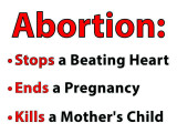 Abortion Stops Beating Heart