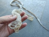 Rat snake skin