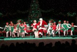 IMG_8926.jpg