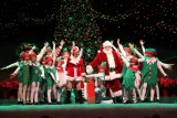 IMG_8932.jpg