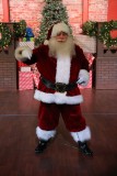 IMG_3070.jpg