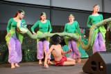 IMG_4631.jpg