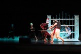 IMG_6290.jpg