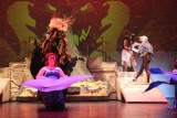 IMG_6392.jpg