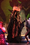 IMG_6395.jpg