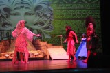 IMG_6406.jpg