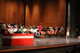 IMG_6931.jpg