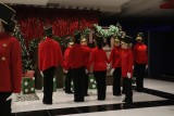 IMG_7233.jpg