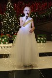 IMG_7327.jpg