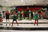 IMG_7506.jpg