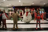 IMG_7585.jpg