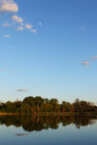 Skyscapes