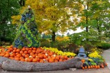 Autumn at the Arboretum