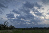 Clouds Followed by the Storm