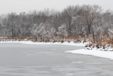 January Lake
