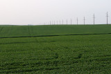 Illinois Cropland