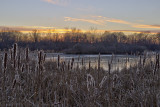 Sunset on a Frozen Pond