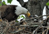 D51_7688.jpg