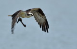 D51_8114.jpg