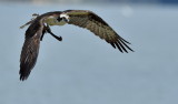 D51_8118.jpg