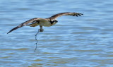 D52_2246.jpg
