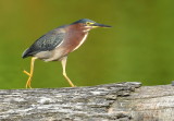 D52_1401.jpg