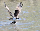D54_3635.jpg