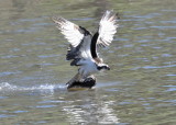 D54_3639.jpg