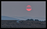 Sunset Through Wildfire Smoke