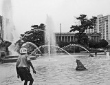 Logan Fountain cool dipper