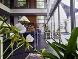 orchids winteriziing Houston freeze