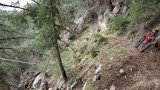 Rim Trail, Mount Wilson