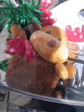 211127 Nelson Toy Run 008.jpg