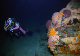 Night Dive