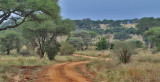 Tarangire NP