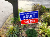 The Best Political Yard Sign for 2020