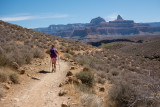 Out to Plateau Point